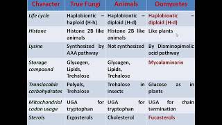 Oomycetes and True Fungi by Dr Vartika [upl. by Eilyak]