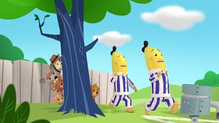 Robotic Malfunction  Bananas in Pyjamas Season 2  Full Episodes  Bananas In Pyjamas [upl. by Oakie]