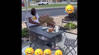 🤣😁El gallo funnycomedyvideo prank viralvideo [upl. by Einberger]