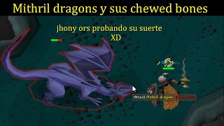 Como matar mithril dragons y usar los chewed bones OSRS español [upl. by Eveivaneg]