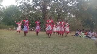 Dampara damkom jhakas kora gurup dance santali video [upl. by Conny]