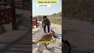 Dogs can be mans best friend 😱 inenglish [upl. by Magdaia]