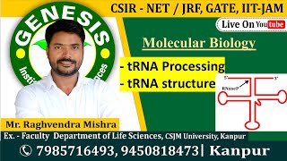 tRNA Processing  Molecular Biology  CSIR NETJRF  Life science  GATE DBT [upl. by Sewellyn17]