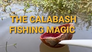 The Calabash fishing magic ASMR [upl. by Ley]