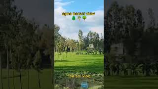 barsoi vlognatureshortsvirlashortvideoshortstrendingsong2024songnaturel🌲🌳🌲 [upl. by Marozas]