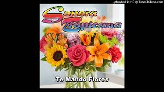 Sonora Tropicana Te Mando Flores [upl. by Breed798]