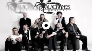 ALACRANES MUSICALES TU INSPIRACION MIX [upl. by Xuaegram]