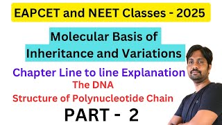 Molecular Basis of Inheritance and Variations  The DNA  Structure of Polynucleotide Chain [upl. by Omrellug]