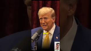 Joe Rogan Experience 2219 Donald Trump [upl. by Assirek673]