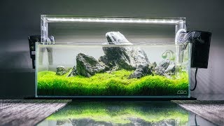 ADA 45f Dry Start Method Setup [upl. by Kimmie917]