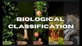 Biological Classification Class 11 NCERT  Kingdom Monera Board Exam cbseboard neet [upl. by Gorman]