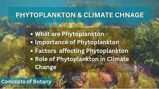 Phytoplankton Importance of phytoplankton Factors affecting Phytoplankton Climate change Hindi [upl. by Rebecca]