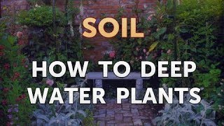 How to Deep Water Plants [upl. by Paulina]