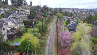 Arbutus Greenway [upl. by Aeynod]