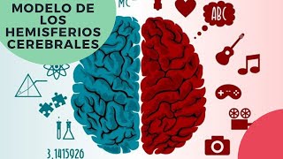 ¿Cómo funciona el hemisferio derecho en tu cerebro cerebro hemisferioderecho mindset [upl. by Lowndes]