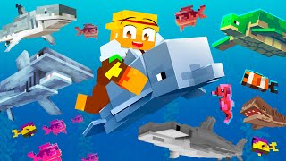 Ampliamos el ZOO con ANIMALES MARINOS en MINECRAFT 🐳🌊 [upl. by Yerag]