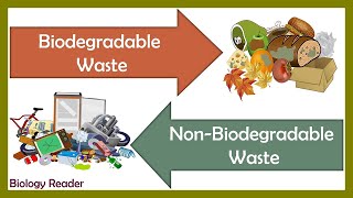 Biodegradable Vs NonBiodegradable Waste  Differences and Comparison [upl. by Josh528]