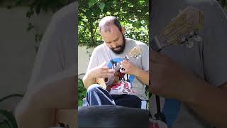 Laurindinha  Cavaquinho shorts cavaquinho ukulele portugal folk [upl. by Analat]