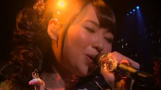 Tomatsu Haruka  Yume Sekai Live [upl. by Harmaning]