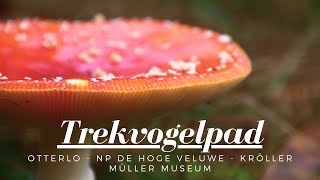 Trekvogelpad Otterlo  NP de Hoge Veluwe amp het Kröller Müller Museum [upl. by Kitti]