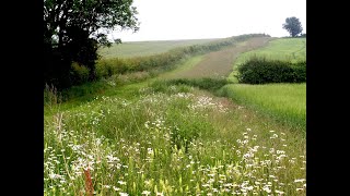 Mid Tier Countryside Stewardship Advice Webinar [upl. by Aubin]