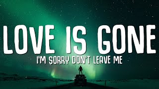 SLANDER  Love is Gone Lyrics ft Dylan Matthew Acoustic quotIm sorry dont leave mequot [upl. by Rutra390]