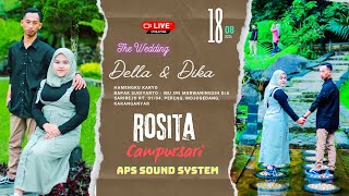 Live CS ROSITA NADA  APS AUDIO  Wedding Della amp Dika  SarirejoPerengKaranganyar  180824 [upl. by Ahsenre377]