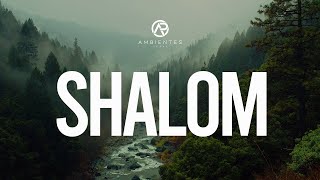 Shalom  Adoración Instrumental  Ambientes de Paz [upl. by Innoc]