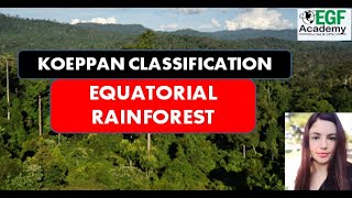 Equatorial Rainforest Climate l Koeppens Climate Classification l Equatorial Rainforest Biome [upl. by Labaw]