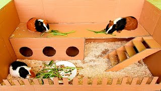 How To Make Hamster House From Cardboard [upl. by Naziaf234]