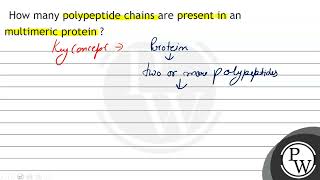 How many polypeptide chains are present in an multimeric protein [upl. by Enelyahs]