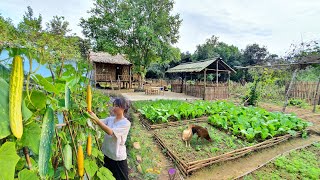 Full Video 75 Days of farm life Gardening Farming Cooking Animal Care  Sơn Thôn [upl. by Marlen201]