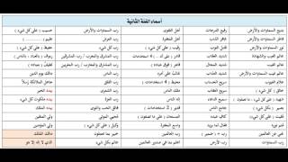 علم الاسماء الحسني امين صبري [upl. by Rosalie842]