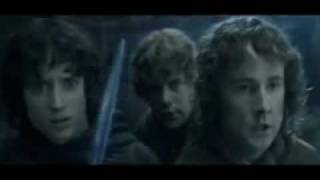 Lord of the Rings  Fellowship of the Vuvuzela Portuguese Subs [upl. by Innattirb]