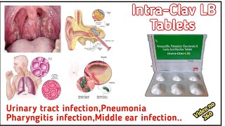 Amoxycillin Potassium Clavulanate And Lactic Acid Bacillus Tablets use in hindi Intra clav LB Tabs [upl. by Gonnella]