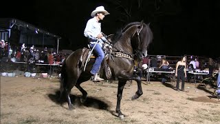 CABALLOS BAILADORES RANCHO CENTENARIO🐴💨💪 [upl. by Levania]