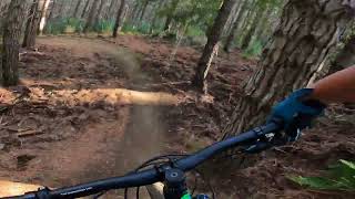 Tasting platter at Woodhill MTB Park NZ [upl. by Nosned]