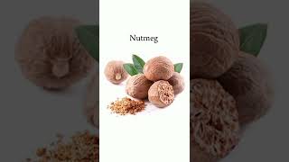 Spices Vocabulary  Spices name in English english Vocabulary Educationalvideo shorts [upl. by Africa]