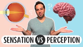 Sensation vs Perception Whats the Difference [upl. by Eppie813]