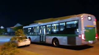 Transperth 3377 at Katanning Street Bayswater [upl. by Aleinad]