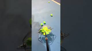 🎾The fastest tennis ball collector 🎾 smalleyes games sportsequipment funny tennisball [upl. by Tuneberg]