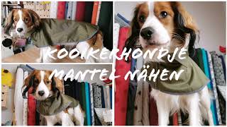 NÄHANLEITUNG Hundemantel mit eigenem Schnittmuster nähen [upl. by Juline327]