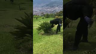 síganme 👏🏻 fincas motivacion vidaenelcampo paisajismo naturaleza plantas viralvideo vida [upl. by Lleryd]