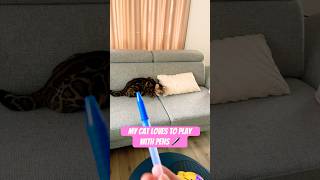 Play time with my cat Mia play cat funnycat bengalcat [upl. by Ahsed]