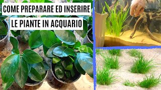 Come preparare ed inserire le PIANTE in ACQUARIO 🌱  Unboxing [upl. by Namreg]