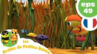 DRÔLES DE PETITES BÊTES  EP49  Une langue bien pendue [upl. by Ciapha881]