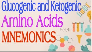 Glucogenic and Ketogenic Amino Acids MNEMONICS  Lecture 3 [upl. by Ringe]