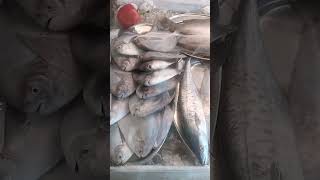 Goa sea food👍👍👍👍fish fry crab prowns food [upl. by Oirazan]