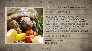 LALIMENTATION DUNE TORTUE  Bien nourrir une tortue [upl. by Meta]