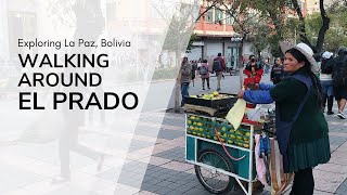 Protests personalities and promotions La Pazs Avenida El Prado 4K Bolivia Travel [upl. by Akimrej312]